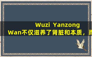 Wuzi  Yanzong  Wan不仅滋养了肾脏和本质，而且还可以改善这6种疾病。你可以长时间带它们吗？